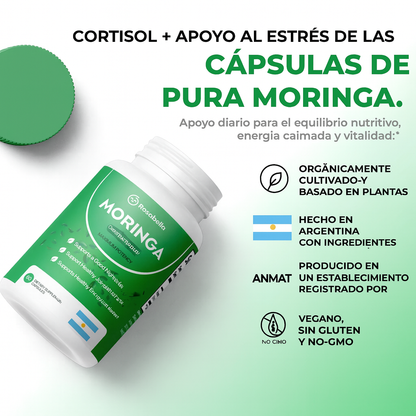 2x1 MORINGA - ADIÓS ESTRÉS